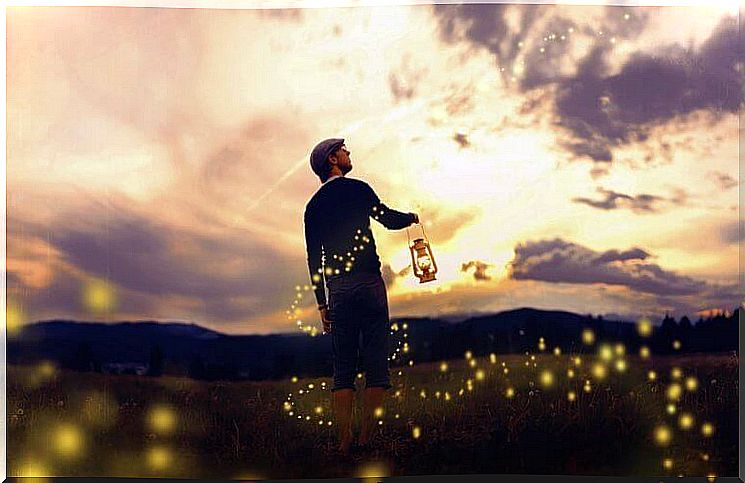 man in field with fireflies