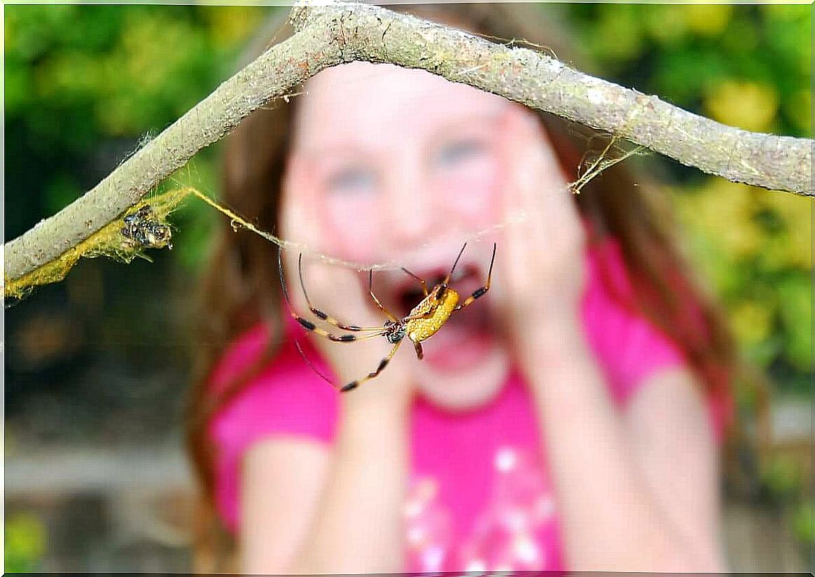 girl scared of spider