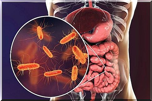 Intestinal microbiome