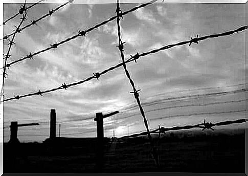 Barbed wire in a concentration camp