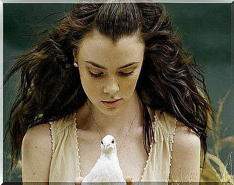 girl-with-dove