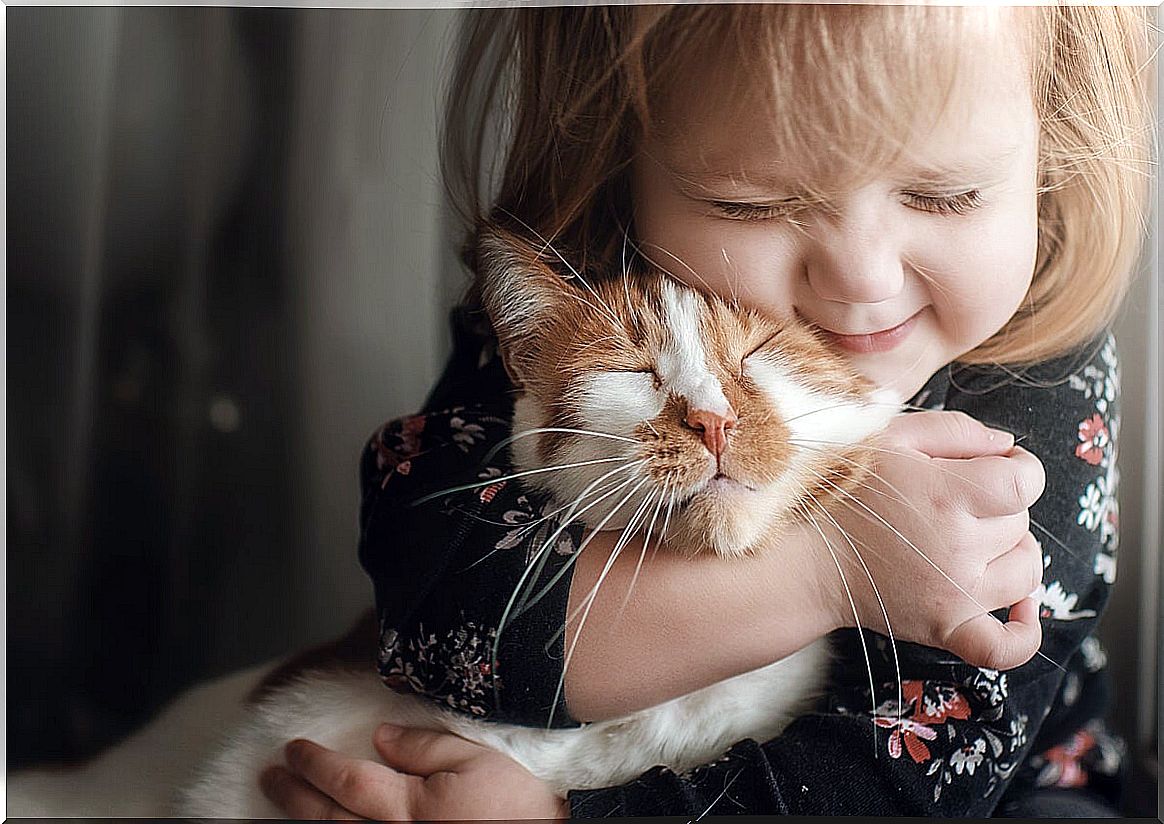 girl hugging a kitten