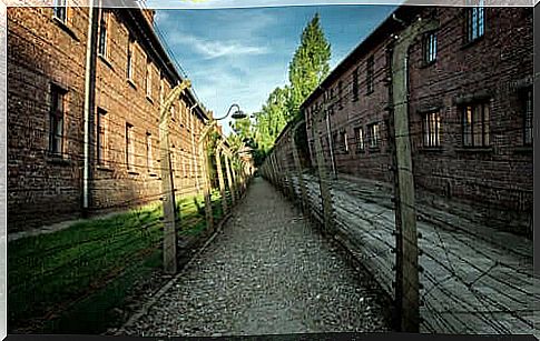 Concentration camp