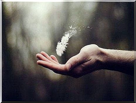 hand with floating feather