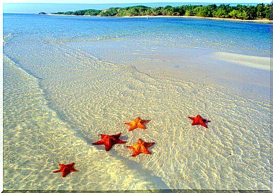 The inspiring legend of the boy and the starfish