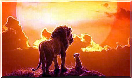 The Lion King: awakening nostalgia