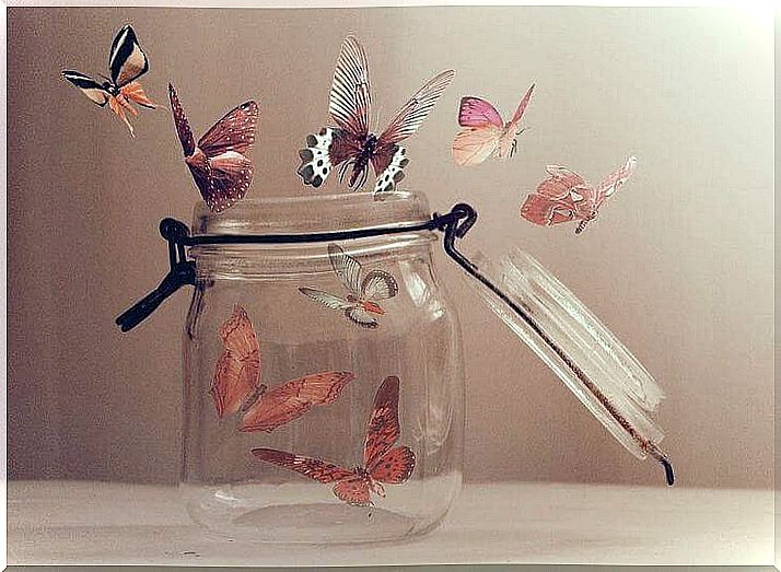 let the butterflies go