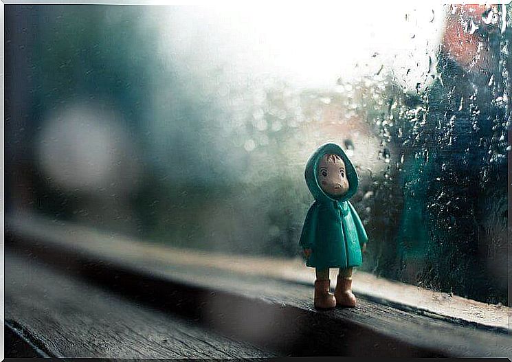 child's puppet in the rainy window