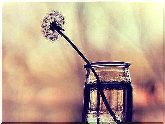 dandelion-in-crystal jar